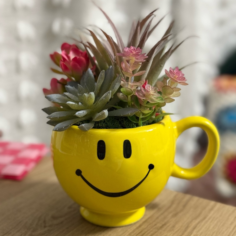 Unique Handmade Succulent Arrangement